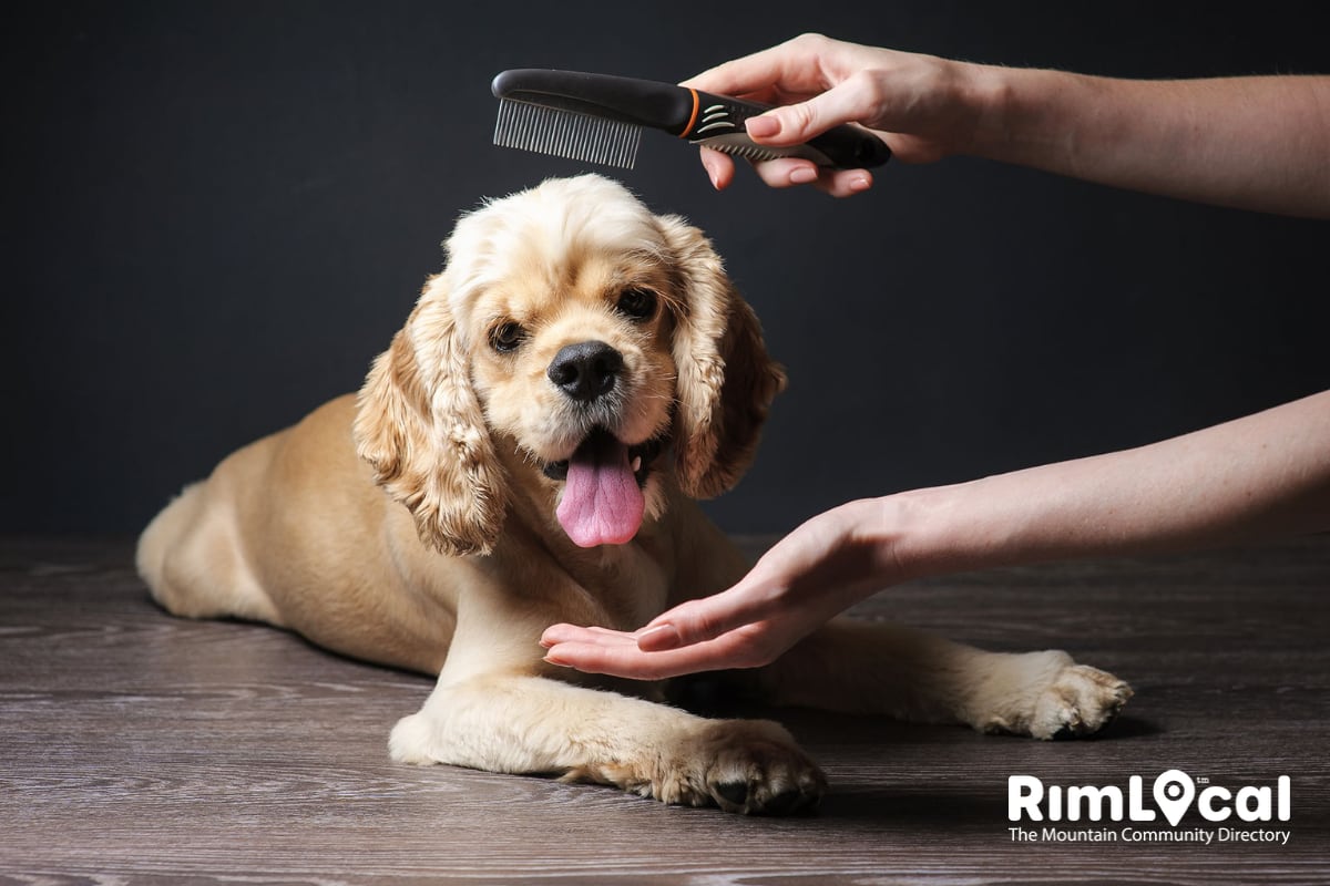 Pet Grooming and Training on RimLocal™ Directory 2023