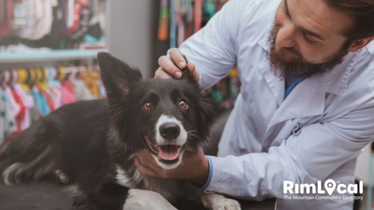 Veterinarians on the RimLocal™ Directory 2023 Veterinarians on the RimLocal™ Directory 2023