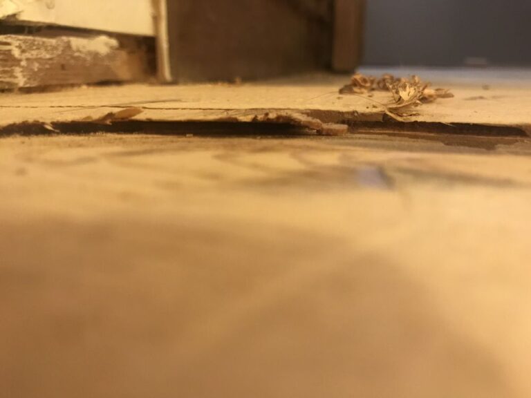 arrowhead floor and window coverings blue jay 14 arrowhead floor and window coverings blue jay 14