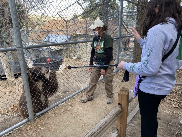 wildhaven ranch cedar glen wildhaven ranch cedar glen