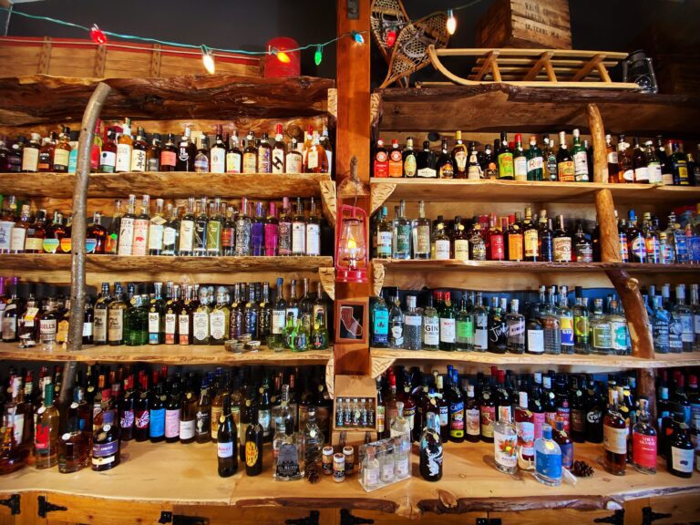 LittleBear 2 768x576